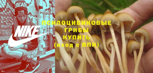 прущая мука Липки