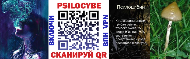 Псилоцибиновые грибы Magic Shrooms как найти наркотики Ржев